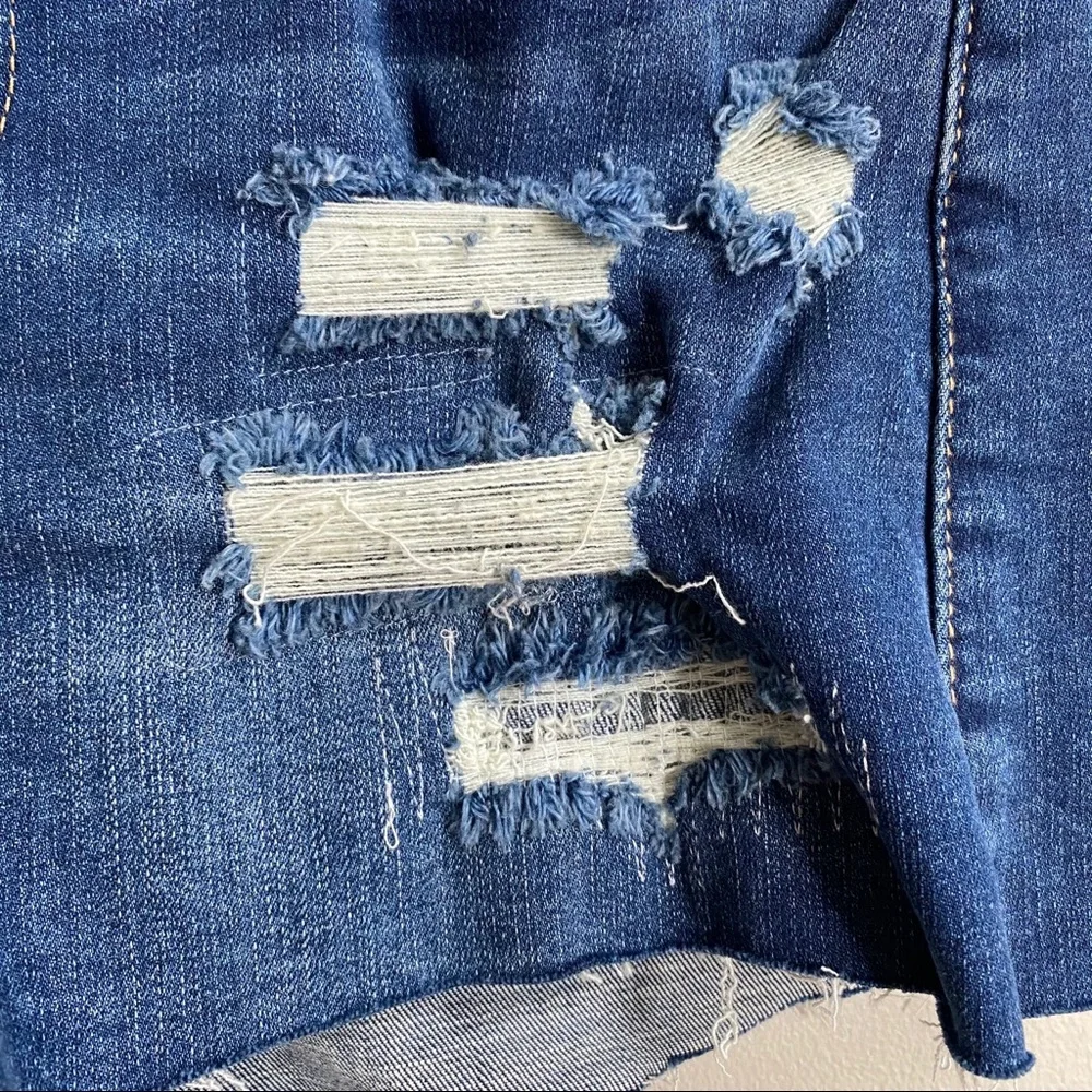 Blank NYC The Essex Rip and Repair Denim Shorts Size 28